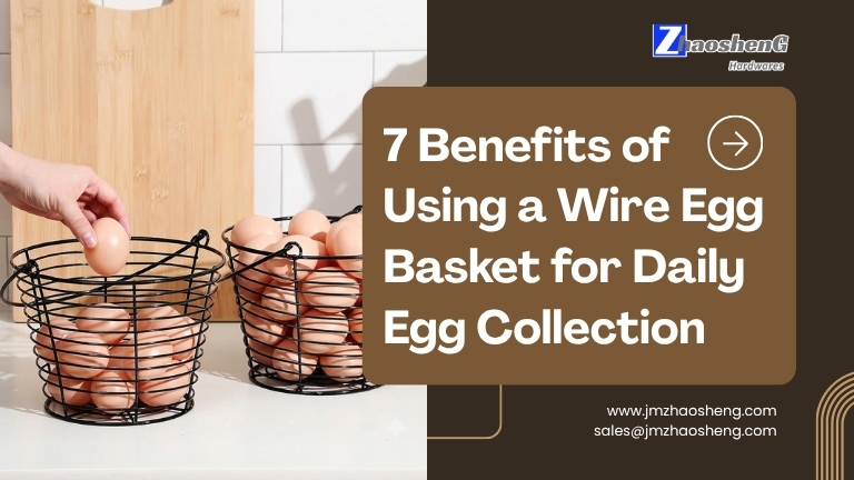 7 Benefits of Using A Wire Egg Basket for Daily Egg Collection